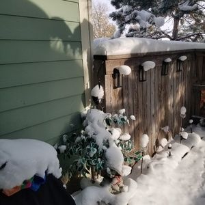 Meet your Posher, Bev